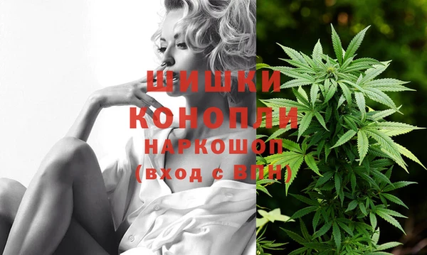 первитин Пестово