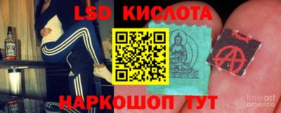 прущие грибы Гусев