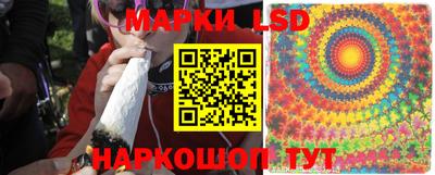прущие грибы Гусев