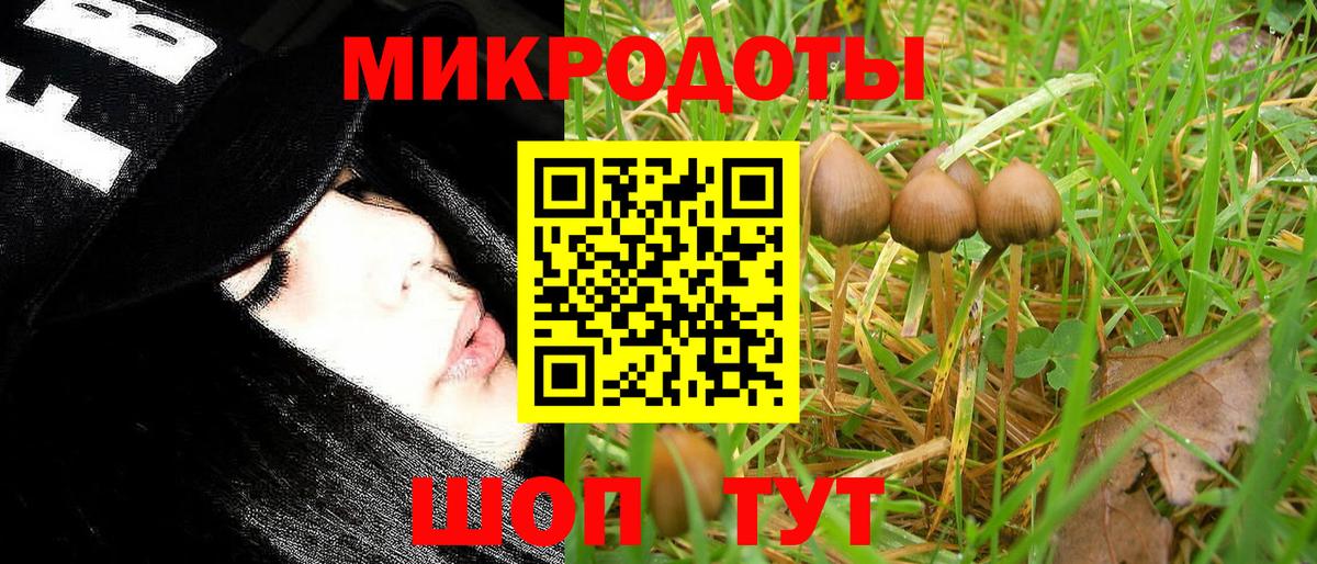 Прокопьевск  Псилоцибиновые грибы ЛСД  Вход с VPN 
